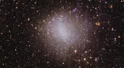 Euclid’s view of irregular galaxy NGC 6822. Image published on November 7, 2023.