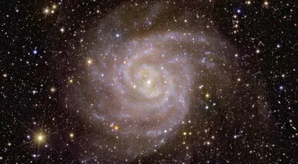 Euclid’s view of spiral galaxy IC 342. Image published on November 7, 2023.