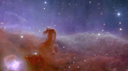 Euclid’s view of the Horsehead Nebula. Published on November 7, 2023.