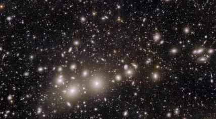 Euclid’s view of the Perseus cluster of galaxies. Image published on November 7, 2023.