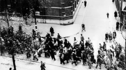 Rotterdam razzia on November 10, 1944. 