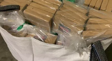 3,279 packages of cocaine, worth about 246 million euros, found at the port of Vlissingen hidden among a load of bananas from Ecuador, 14 November 2023