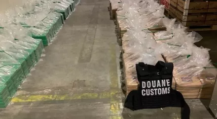 3,279 packages of cocaine, worth about 246 million euros, found at the port of Vlissingen hidden among a load of bananas from Ecuador, 14 November 2023