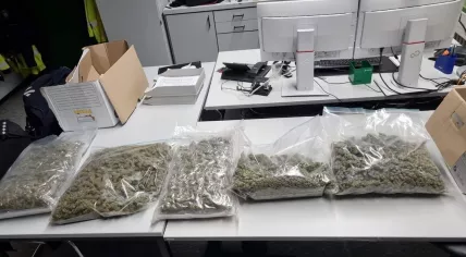 Ten kilograms of soft drugs found in a car police chased from Utrecht across the German border. 29 December 2023