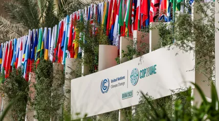 UN Climate Change Conference COP28 in Dubai. 30 November 2023.