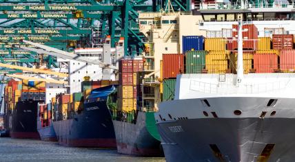 MSC container ships at the MSC terminal at the Antwerp port. July 2013