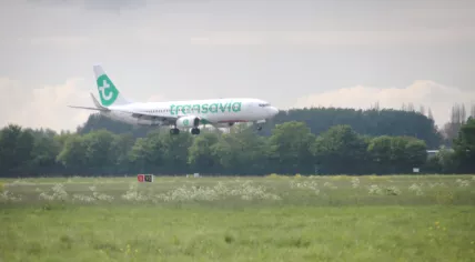 A Boeing 737 from Transavia landing at Rotterdam The Hague Airport. April 2019
