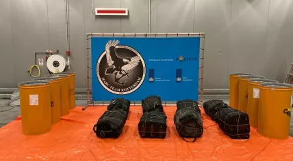 A portion of a 500-kilogram cocaine shipment found in a jelly shipment at the Rotterdam port