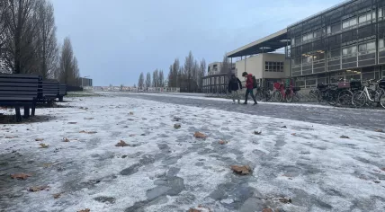 A dusting of snow in Amsterdam, 4 December 2023