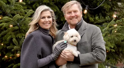 Queen Máxima and King Willem-Alexander pose with their dog, Mambo, during their annual winter photo session at Huis ten Bosch palace. 22 December 2023