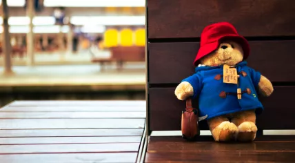 The NS hopes to reunite this lost Paddington Bear with its owner before Christmas 2023