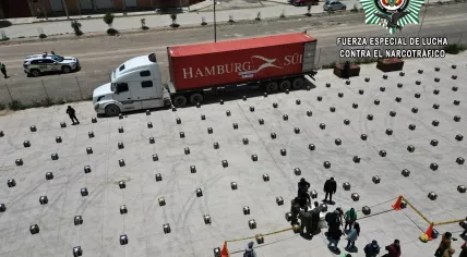 Bolivian authorities found 8.7 tons of cocaine hidden on wood floor tiling destined for the Netherlands. 5 January 2024