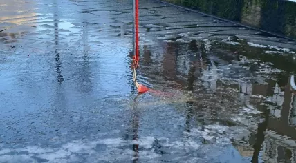 A student in Delft rescued a woman after her car skidded on the icy road and crashed into a canal, 18 January 2023