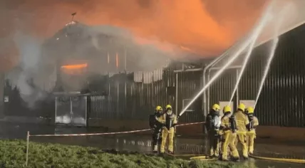 A fire in a stable in Puiflijk killed 50,000 chickens. 3 January 2024