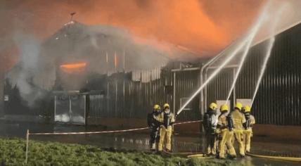 A fire in a stable in Puiflijk killed 50,000 chickens. 3 January 2024