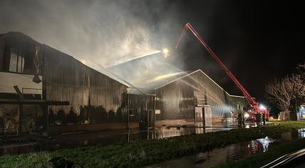 A fire swept through a barm in Puiflijk, Druten, killing 50,000 chickens. 3 January 2024