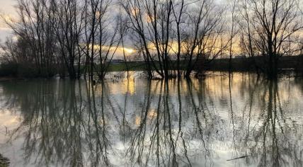 High water levels led to some flooded areas in Lathum, Gelderland, which is bordered by the IJssel River. 6 January 2024