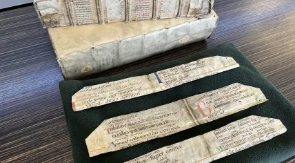 Century-old parchment fragments found in bookbindings from the Regional Archive Alkmaar.