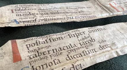 Century-old parchment fragments found in bookbindings from the Regional Archive Alkmaar.