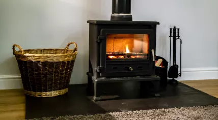 Wood burning fireplace with glass door