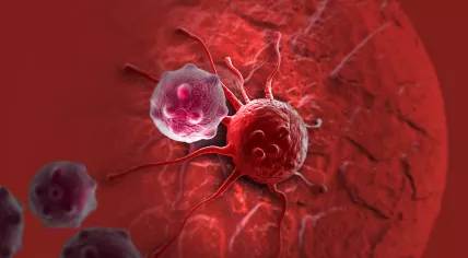 Cancer cell