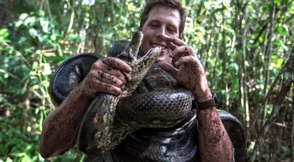Freek Vonk with the Eunectes akayima, or northern green anaconda, a new species discovered in the northern Amazon region
