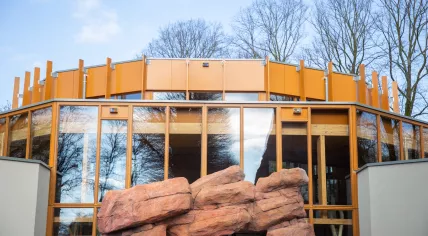 Koalia - the koala enclosure at Ouwehands Zoo in Rhenen, March 2024