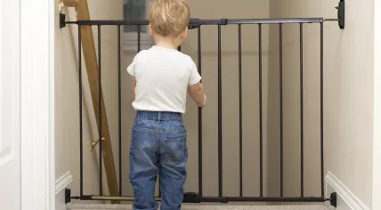 Toddler standing at a baby gate on the top of a staircase