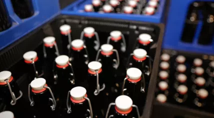 Beer bottles in crates