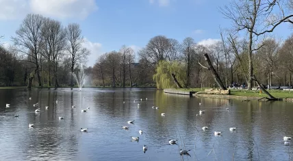 The pond in Amsterdam's Oosterpark on a rather sunny morning. 6 March 2024