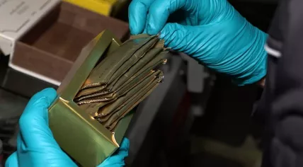 NVWA inspector checks golden bag of honey products