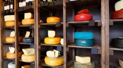 An assortment of cheese wheels in a cheese shop