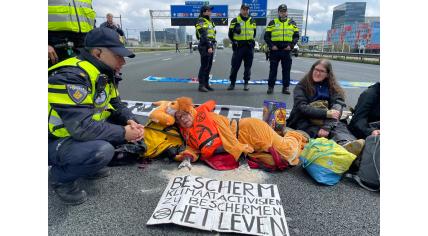 An Extinction Rebellion activist laying down on the A10 in Amsterdam while wearing an orange vest over a lion costume on King's Day. The protestor was behind a sign stating, "Protect climate activists, they are protecting life". 27 April 2024