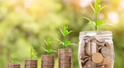 Stacks of coins and plant leaves, reflecting financial growth and strong investments