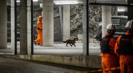 The emergency services used sniffer dogs to search the rubble of a partially collapsed parking garage at the St. Antonius Hospital in Nieuwegein, 26 May 2024