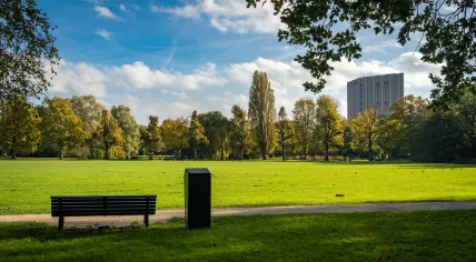 A bench in Flevopark in Amsterdam