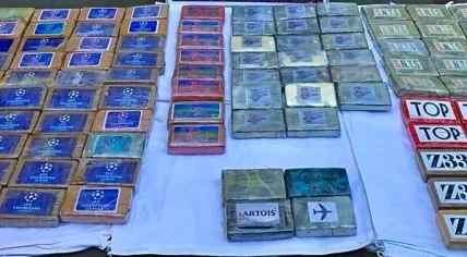 120 kilograms of cocaine intercepted at Schiphol Airport, found in several suitcases on a flight from Banjul in Gambia. 19 May 2024