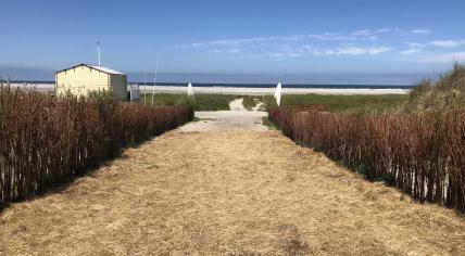 Path towards the beach of Schiermonnikoog in The Netherlands