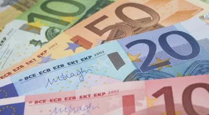 Euro notes
