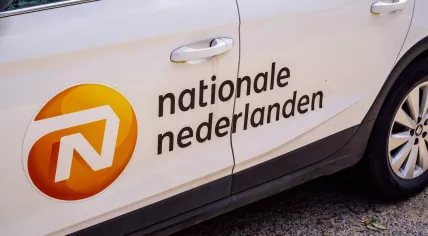 Logo of Nationale-Nederlanden, one of the largest asset management and insurance companies in the Netherlands