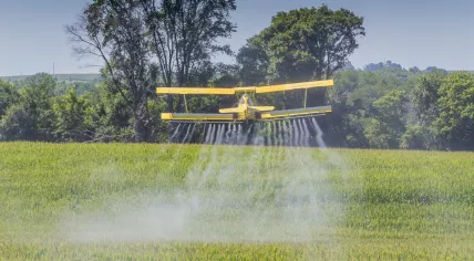 A yellow crop duster spraying pesticides on a field