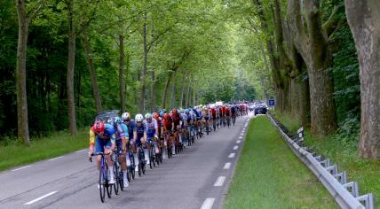 Sight of the riders of the peloton during the step 5 of Tour de France 2024, on former Route nationale 6 road from Maurienne valley to Chambéry, in Savoie, France.