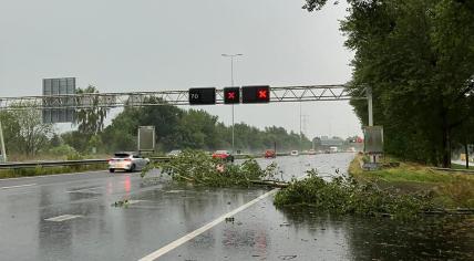 Tree fallen on a Dutch higway during a code orange thunderstorm, 9 July 2024