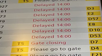 Every flight at Schiphol Airport was delayed or canceled by a Crowdstrike bug that crashed Windows computers worldwide, 19 July 2024
