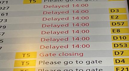 Every flight at Schiphol Airport was delayed or canceled by a Crowdstrike bug that crashed Windows computers worldwide, 19 July 2024