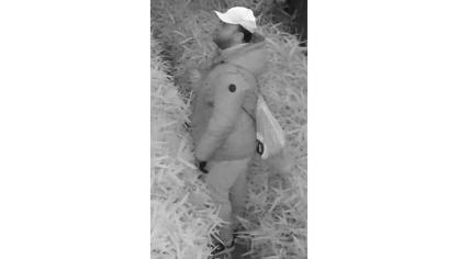 Image of man suspected of starting fire at Rotterdam alderman Faouzi Achbar's home on July 6.