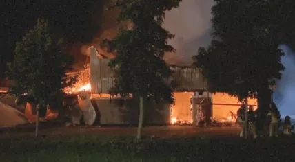 Fire at a horse stable on Bosruiterweg in Zeewolde, 25 July 2024
