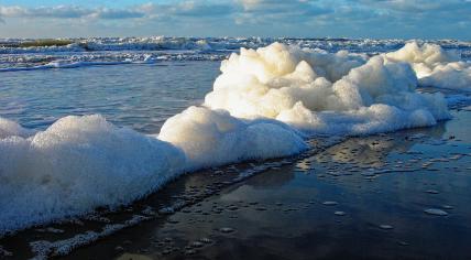 Sea foam on a Texel beach