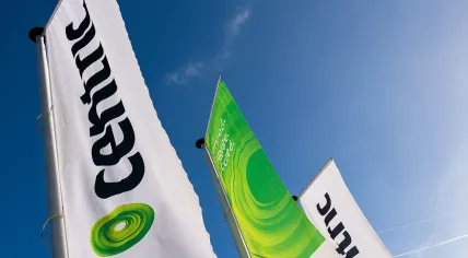 Centric flags