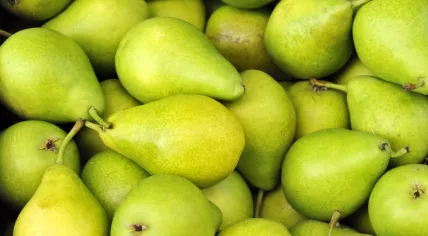 A photo of green pears.